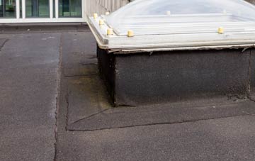 disadvantages of Elliston flat roofs