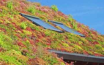Elliston living roof systems