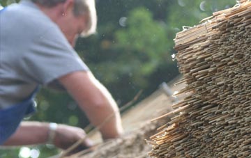 professional Elliston thatchers